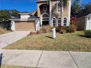 Saed A.'s grass cutting service result