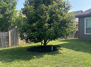 Sheila R.'s Flower Bed Weeding service result