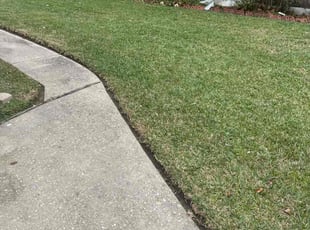 Emily C.'s grass cutting service result