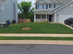 Shaun h.'s turf maintenance service result