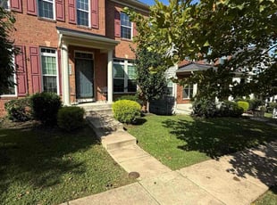 Scott R.'s grass maintenance service result