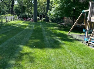 Donna H.'s lawn care service result