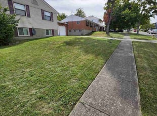 Tara A.'s turf care service result