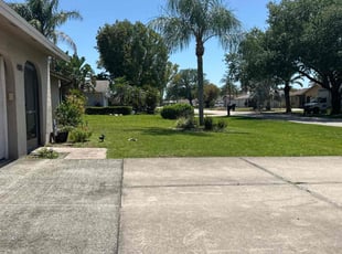 Rachel M.'s turf care service result