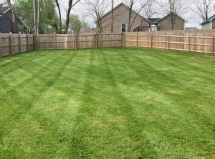 Robert R.'s lawn maintenance service result