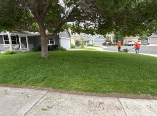 Sandy H.'s lawn care service result