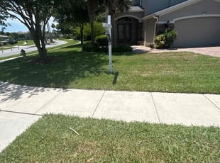 Patricia B.'s turf maintenance service result