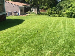 Yvonne S.'s grass cutting service result