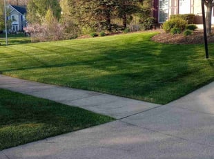 Dianne P.'s lawn maintenance service result
