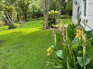 Raine M.'s lawn care services service result