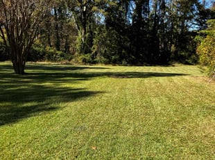 Lesley K.'s grass cutting service result