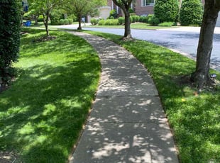 Trish B.'s grass maintenance service result
