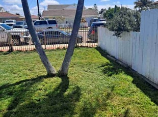 Frank T.'s lawn maintenance service result