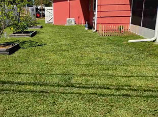 Justin S.'s lawn maintenance service result