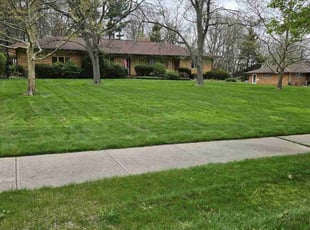 Lisa W.'s turf maintenance service result