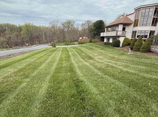 Trudy R.'s lawn maintenance service result