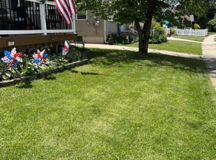 Lance N.'s turf care service result