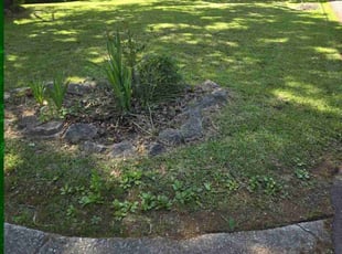 David J.'s lawn service service result