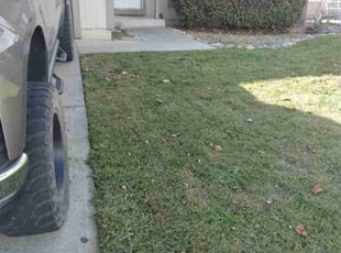 Jeffrey R.'s Bush Trimming service result