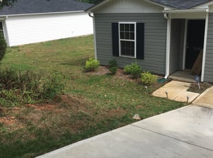 Deena G.'s Bush Trimming service result