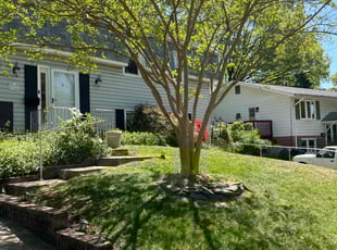 Maribel A.'s lawn service service result