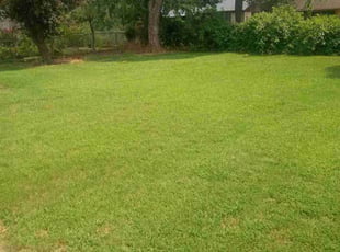 Ellen H.'s lawn service service result