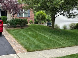 Mary K.'s lawn care service result