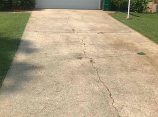 Vidya R.'s lawn care service result