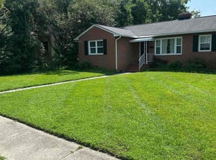 Kingsley P.'s lawn care services service result