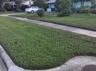 Kyung P.'s turf maintenance service result