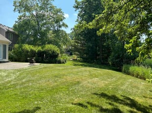 Kenny L.'s turf care service result