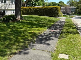 Gail D.'s lawn service service result