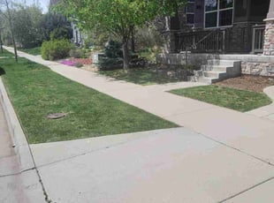 Amy M.'s lawn care services service result
