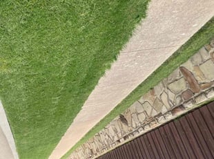 Damon R.'s landscape maintenance service result