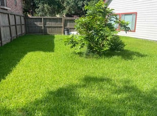 Paul M.'s grass maintenance service result