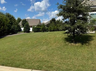 Venita T.'s lawn maintenance service result