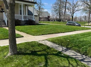 Rhyana R.'s turf maintenance service result