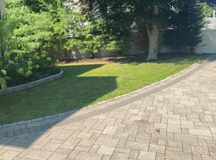Amanda E.'s turf maintenance service result