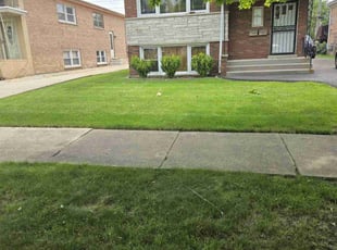 Anita A.'s grass maintenance service result