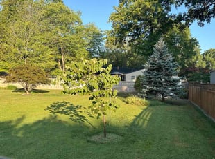 Kimberly J.'s grass maintenance service result