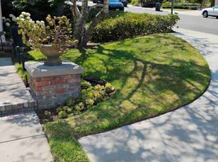 Jessica T.'s turf maintenance service result