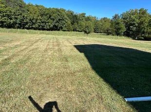 Mark B.'s lawn maintenance service result