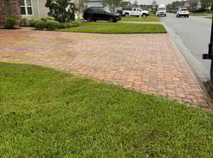 Camilla A.'s lawn maintenance service result