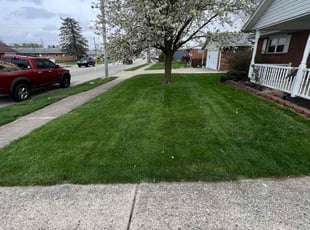 Betty D.'s lawn service service result