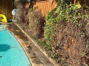 Demond M.'s Bush Trimming service result