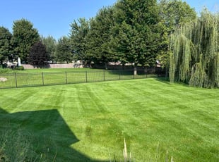 Ethel G.'s grass maintenance service result