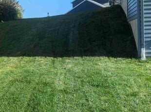 Robert P.'s grass cutting service result