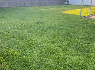 Rose R.'s grass cutting service result