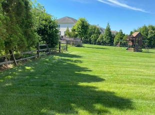 Sarah D.'s turf maintenance service result