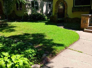 Stephanie S.'s grass maintenance service result